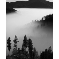 Rollei Retro 80s 135-36, exp. 09/25