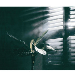 CONDOR Foto Nebel Effekt Spray 400 ml, efektni sprej