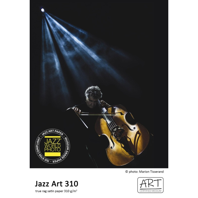 FOMEI Jazz Art 310