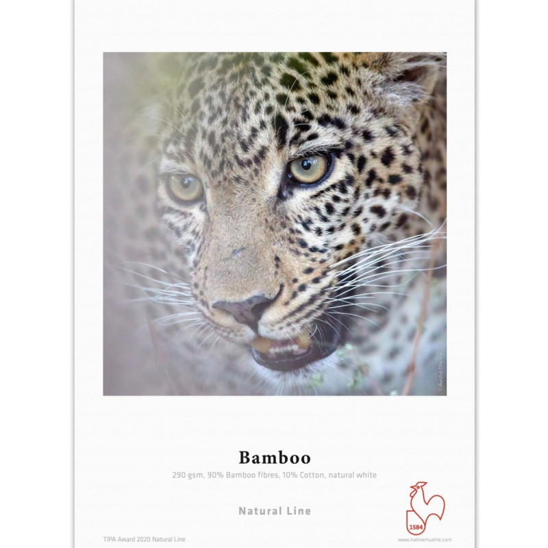 HAHNEMÜHLE Bamboo 290g