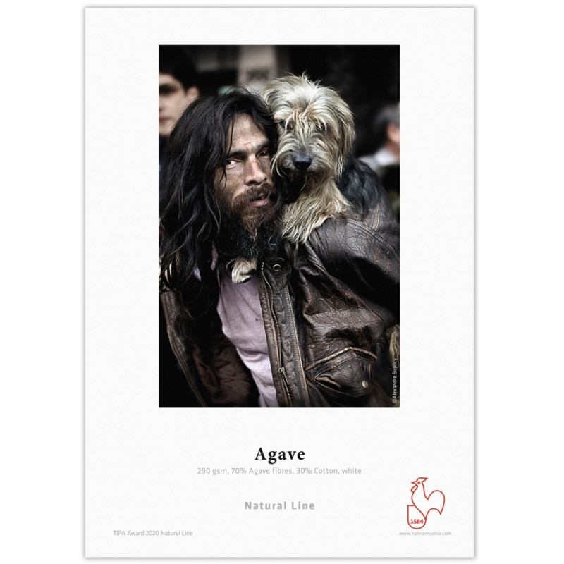 HAHNEMÜHLE Agave 290g