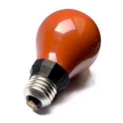 Red bulb for photocamera