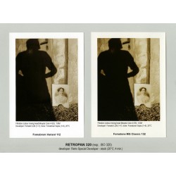 FOMA RETRO special developer 1L