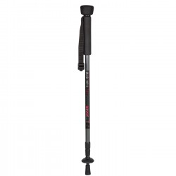 B.I.G. HP-3 one-legged tripod and trekking pole