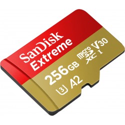 SanDisk Extreme micro SDXC 256 GB 160 MB/s A2 C10 V30 UHS-I U3 (SDSQXA1-256G-GN6MA)