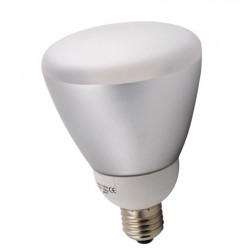 Reflector lamp 5000K, with mirror and diffuser 220V/110W (20W), E27