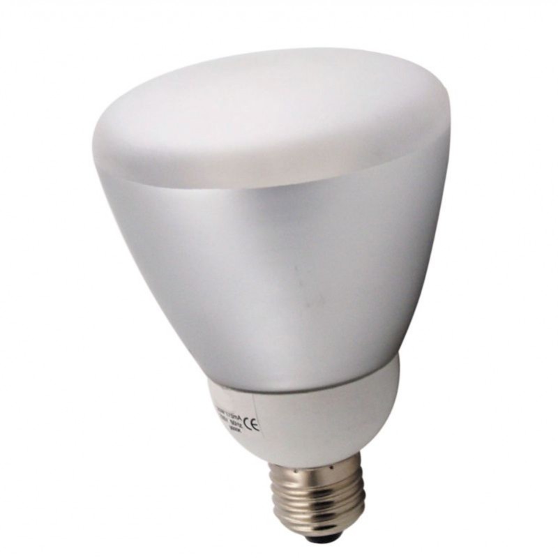 Reflector lamp 5000K, with mirror and diffuser 220V/110W (20W), E27