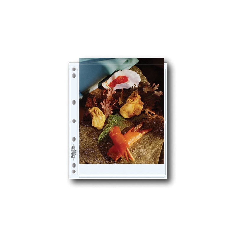Archiv pro planfilm 8x10", polyethylen