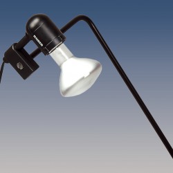 Kaiser ReproKid loudspeaker with lighting