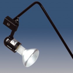 Kaiser ReproKid loudspeaker with lighting