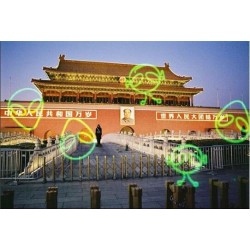 KONO! Alien 200 135/24