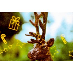 KONO! Wintermärchen 200 135/24