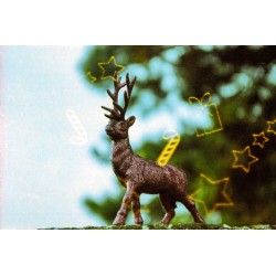 KONO! Wintermärchen 200 135/24