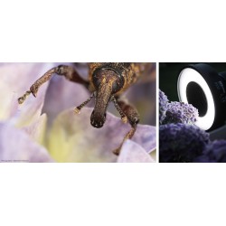 KAISER KR90 kulaté LED makro světlo (3250)