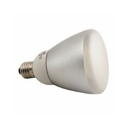 Reflector lamp 5000K, with mirror and diffuser 220V/110W (20W), E27