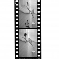 ADOX Scala Kit 2000ml, B&W slide developing kit