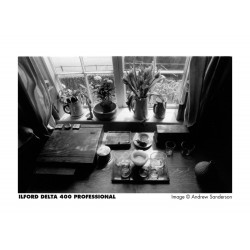 Ilford Delta 400 135/24