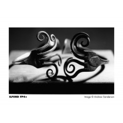 Ilford FP 4 Plus 135/24