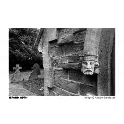 Ilford HP 5 Plus 135/24