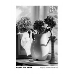 ILFORD XP2 Super 135/24