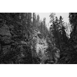 CINESTILL DF 96 Monobath v prahu za 16 filmov, 1 L