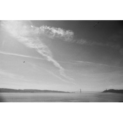 CINESTILL DF 96 Monobath powder for 16 films, 1L