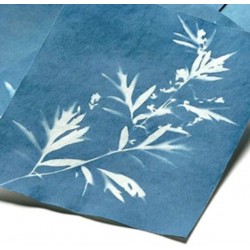 Solar photo paper 14x19cm/20 sheets