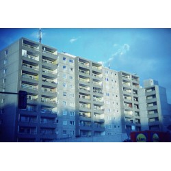 CineStill 800 Tungsten 135/36