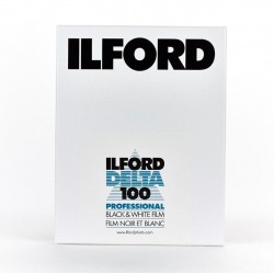 Ilford Delta 100 (8x10"/25)