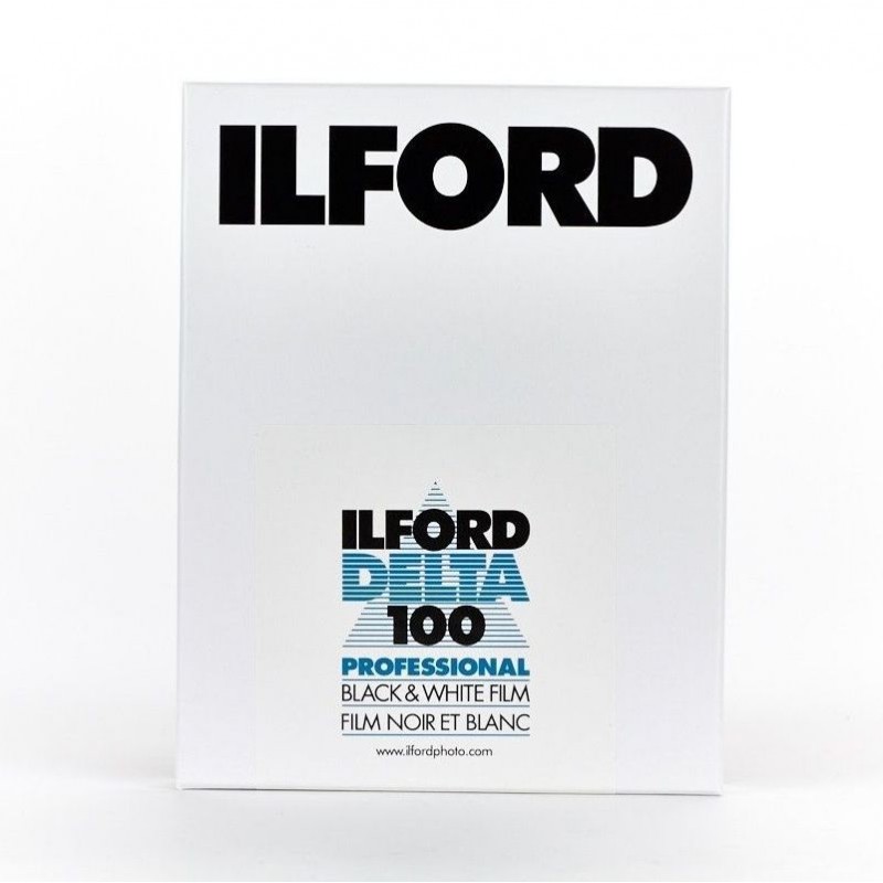 Ilford Delta 100 (8x10"/25)