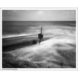 Camera Obscura od ILFORD, sada s filmy