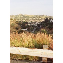 CineStill 400Dynamic 135/36