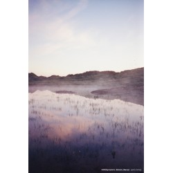 CineStill 400Dynamic 120