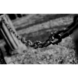 ORWO WOLFEN NP100 135/36, exp. 10/2024