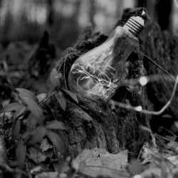 ORWO WOLFEN NP100 135/36, exp. 10/2024