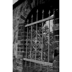 ORWO WOLFEN UN54 135/36