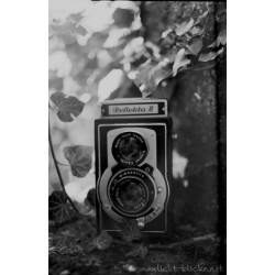 ORWO WOLFEN UN54 135/36