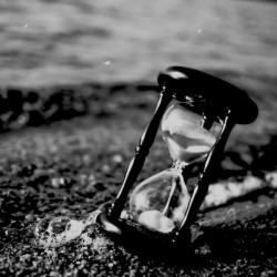 ORWO WOLFEN DP31 135/36