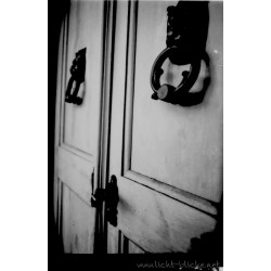 ORWO WOLFEN DP31 135/36