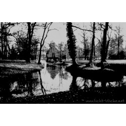 ORWO WOLFEN DP31 135/36