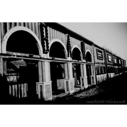 ORWO WOLFEN DP31 135/36