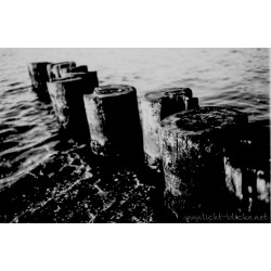 ORWO WOLFEN DP31 135/36