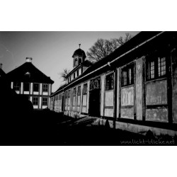 ORWO WOLFEN DP31 135/36