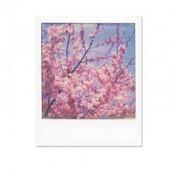 POLAROID i-Type Color, 8× Instant Film