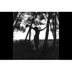 WASHI "W" 25 4x5"/12