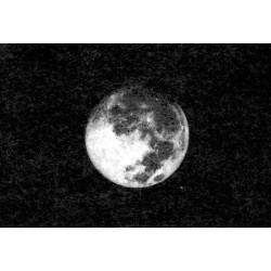 WASHI "W" 25 8x10"/6