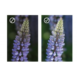 DÖRR DRL-232 kružno svjetlo + baterija