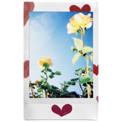 FUJIFILM Instax Mini srčki 10 kosov