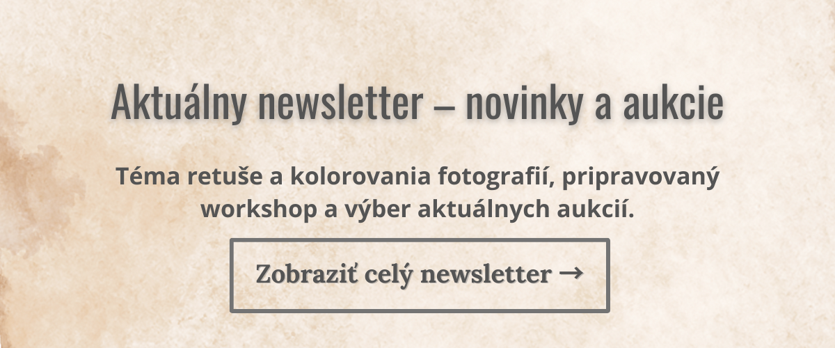 Aktuálny newsletter – novinky a aukcie